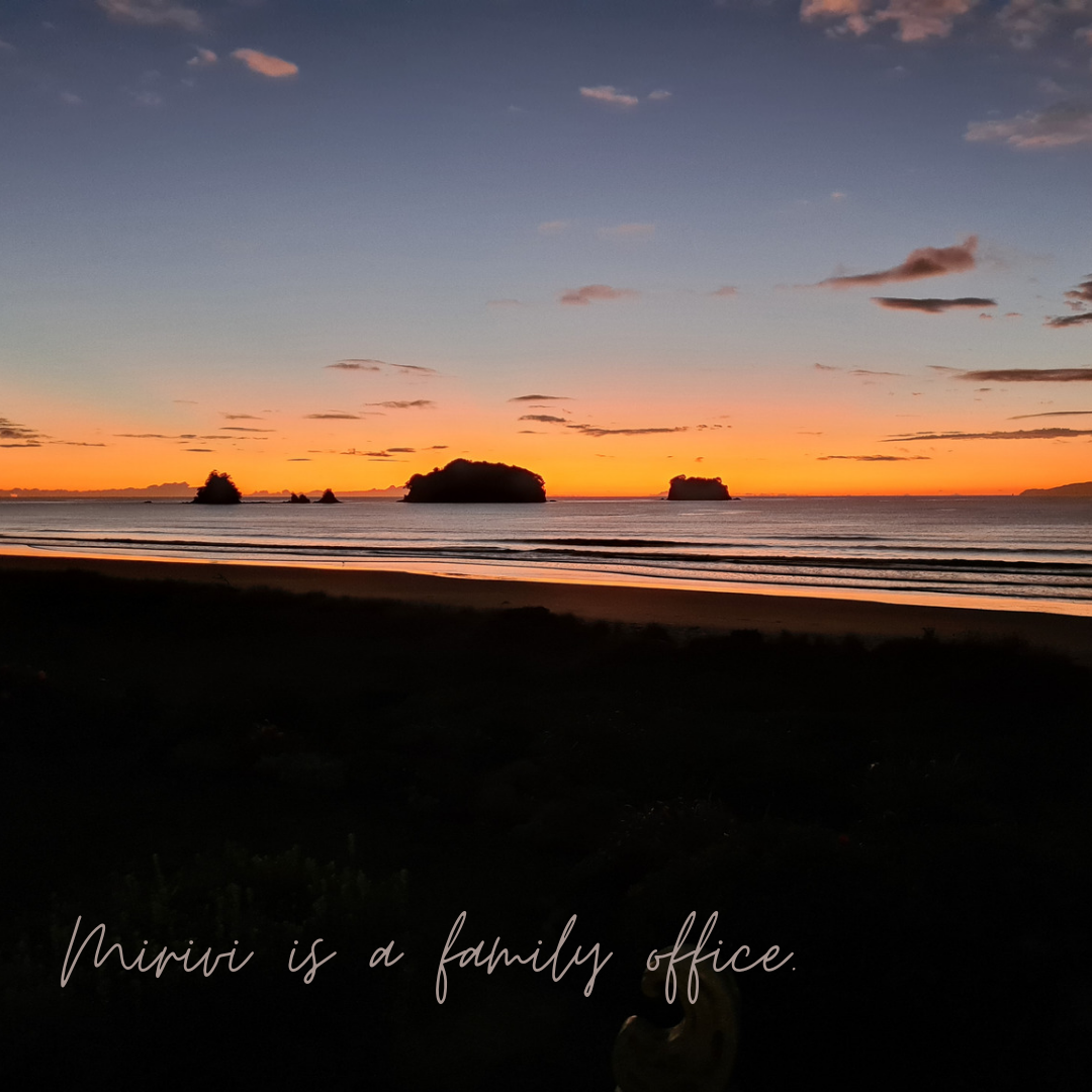 Mirivi is a family office.